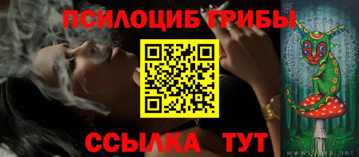 Псилоцибиновые грибы Cubensis Зеленогорск
